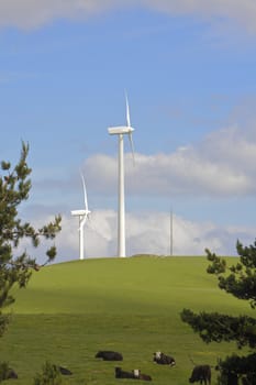 Wind farm with turbines generating electrical energy for green power 