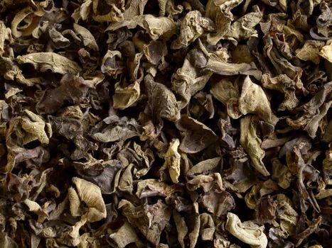 close up of dried black fungus