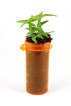 A medicine bottle with a green plant growing out of it.