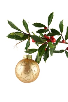 A branch from a holly tree with a golden holiday ornament hanging from it, shot against a soild white background.