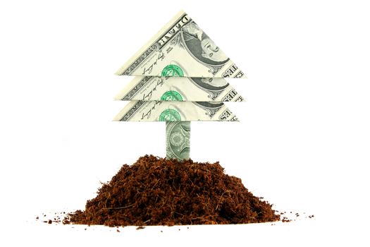 A dollar bill tree growing out of a pile of soil on a solid white background.