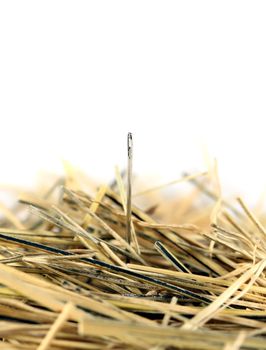 A single needle in a haystack. Focus is on the top of the needle head.