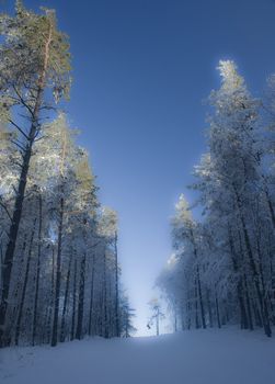 snowy winter in Poland