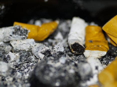 cigarette buds in an ashtray