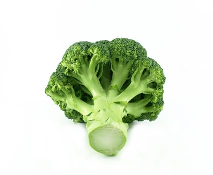 A fresh whole broccoli flower