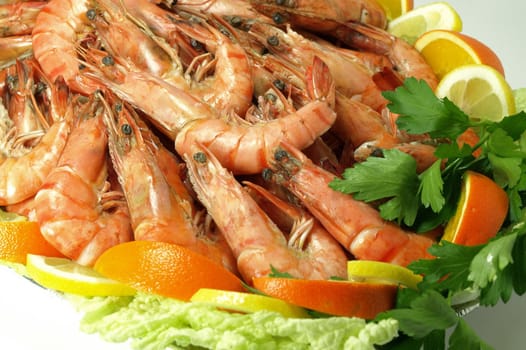 Cooked Tiger shrimps garnished with  slices of orange, lemon and parsley.