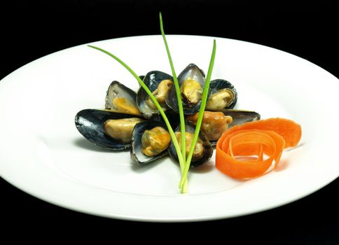 Steamed and garnished Danish mussel serving on black background.