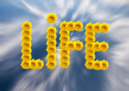 Concept shot of composited sunflowers depicting the word life.
