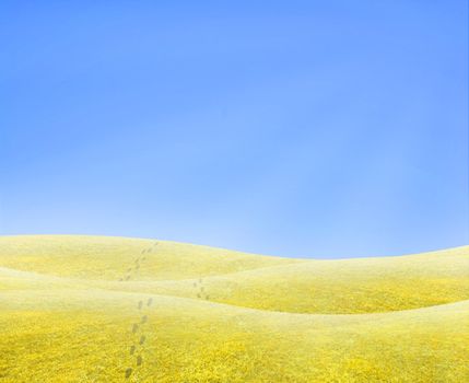 Simple tranquil beautiful horizon with a surreal yellow grass and footsteps walking into nothing.