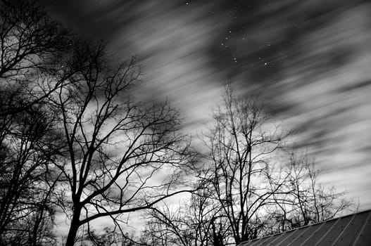 Long black and white exposure of a winter night sky with stars and barren trees