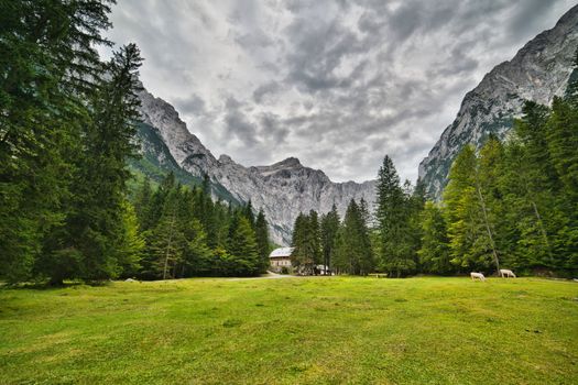 Triglav National Park - HDR photo