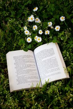 Open book on grass with daisies