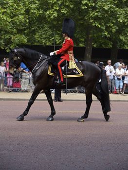 Trooping of the Colors for the Queen's Birthday one of London's Most Popular Annual Royal Events