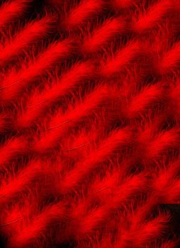 Red feather pattern on dark background