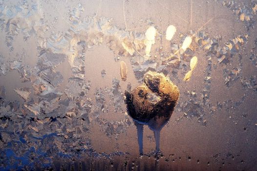 Handprint on ice window, sign desires spring