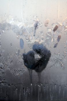 Handprint on ice window, sign desires spring