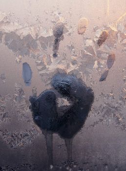 Handprint on ice window, sign desires spring