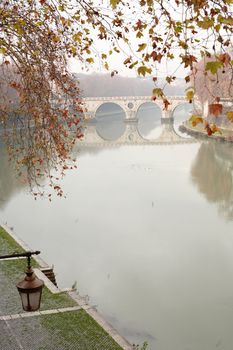 Autumn leaves twig on background with ancient bridge across Tiber river. Rome, Italy