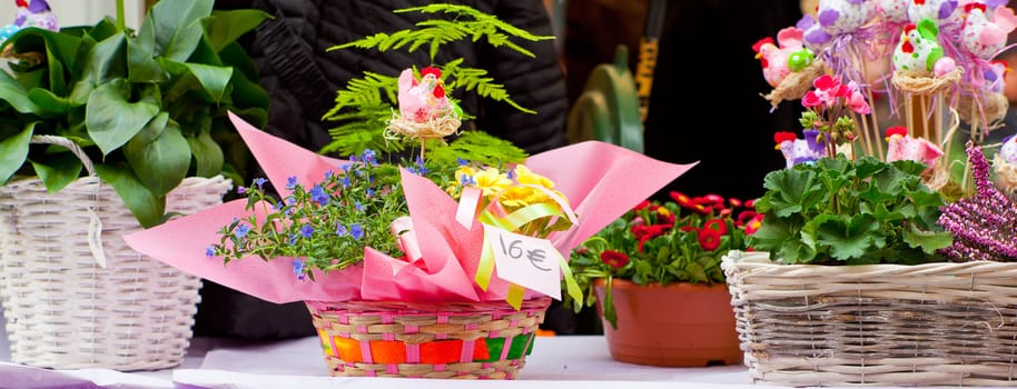 Photo of hens, Colorful Easter decorations