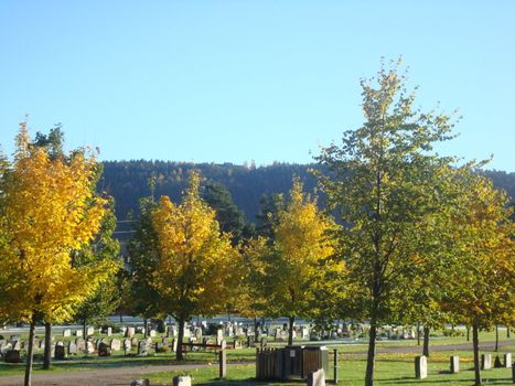 cemetery