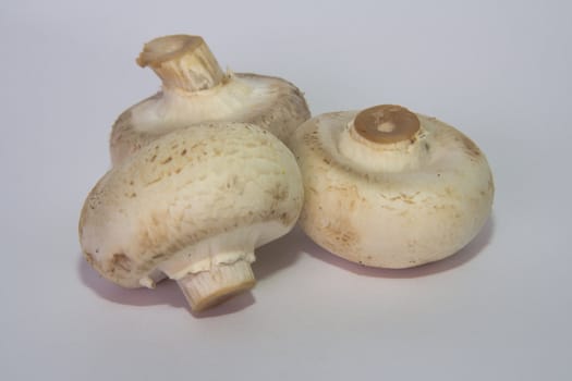Fresh raw white mushrooms