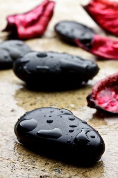 wet black stones and petal