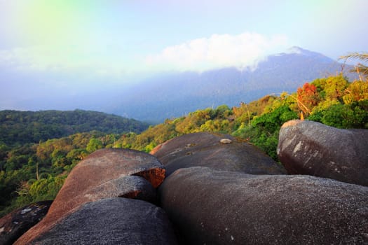 Sunrise on hill in rainforest, Thailand.