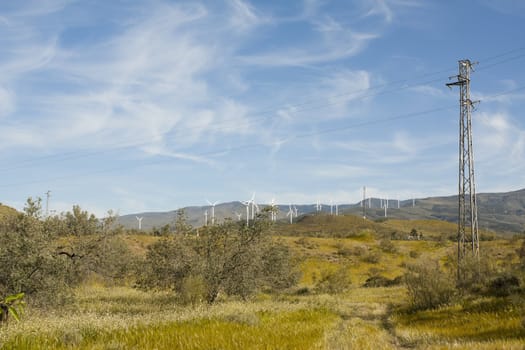 A rural landscape showing wind turbines on the background and an electric pole on the foreground.