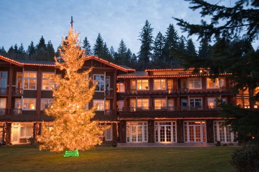 Hotel exterior and Christmas tree