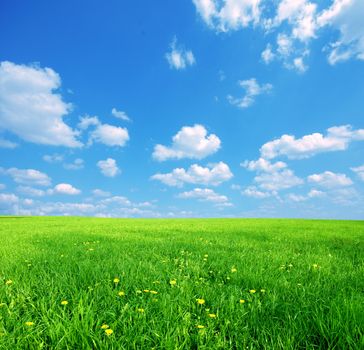 Green grass and blue sunny sky spring landscape. Perfect for backgrounds