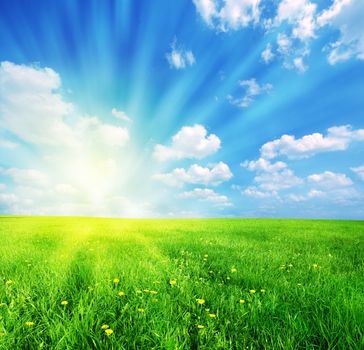 Green grass and blue sunny sky spring landscape. Perfect for backgrounds