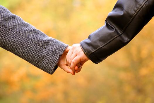 Hand-in-hand. Couple love in autumn scenery