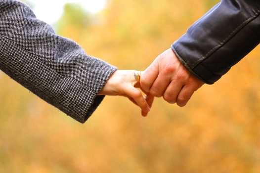 Hand-in-hand. Couple love in autumn scenery