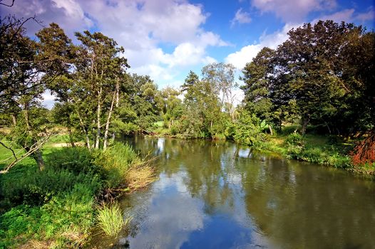 Summer landscape. River and trees