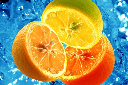 Fresh halves of citrus fruits on water background