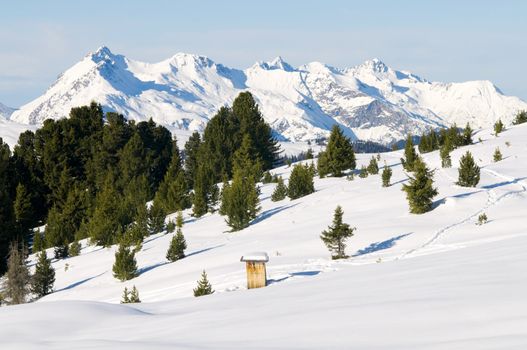 Snowy winter scenery with trees and mountains