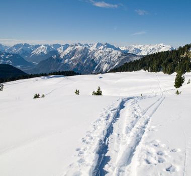 Snowy winter scenery and footpath