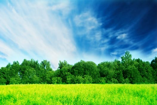 Fresh green spring landscape with bright blue sky