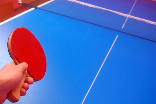 table tennis (ping pong) image