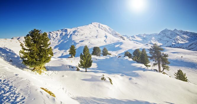 Sunny winter mountain lanscape with trees