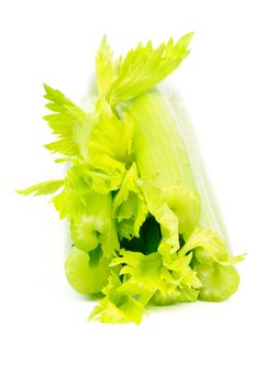 Bunch of Celery Stalks isolated on white background