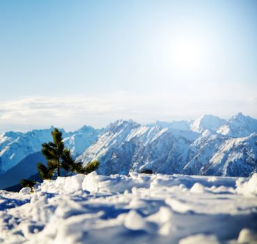 Mountain snowy winter scenery background