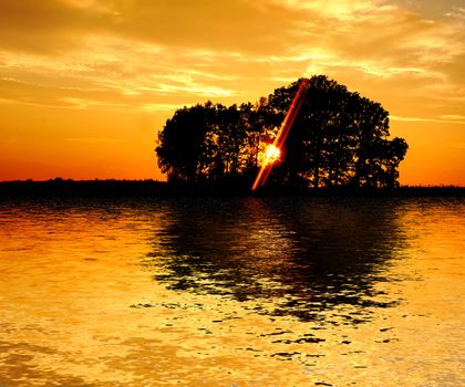 SUNSET AND TREES AT THE LAKE