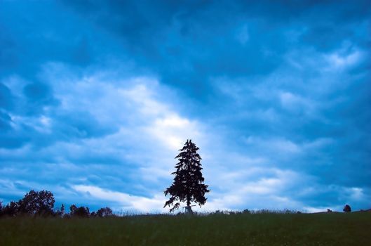 Rainy landscape with single tree in the middle. Horror scenery