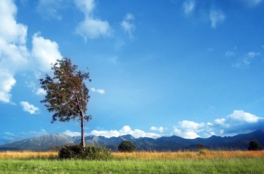 Tatra Mountains landscape