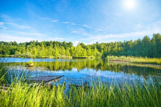 Summer landscape. Lake in the forest