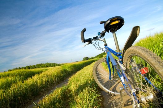 Bike on the summer field. Active lifestyle, sport 