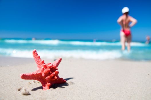 Red starfish on sunny tropical beach