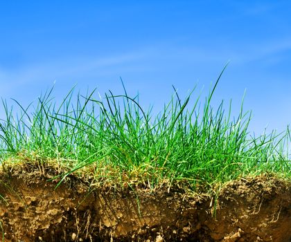 Ground, grass, sky. Cross section of three elements of nature.