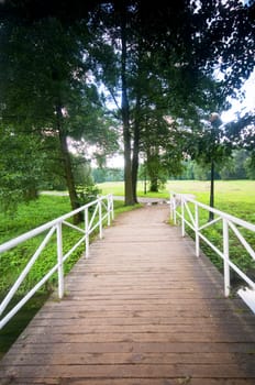 Bridge in charming autumn summer park